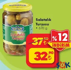 BİZİM VATAN SALATALIK TURŞUSU 670 G